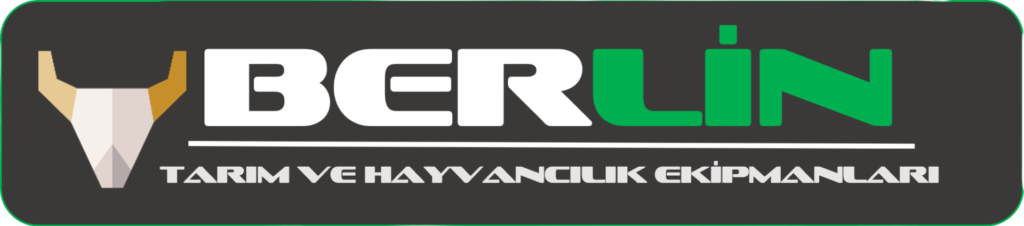 BERLIN LOGO 1 1