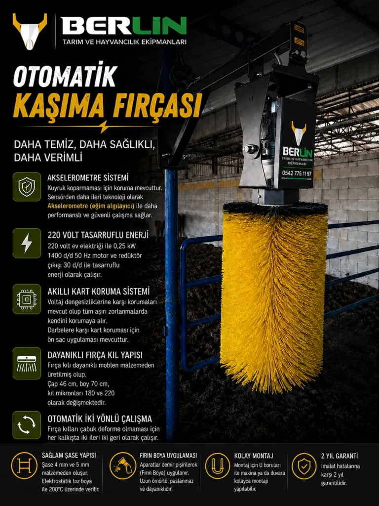 Blog 2 Otomatik Kaşıma Fırçası